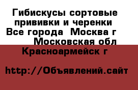 Гибискусы сортовые, прививки и черенки - Все города, Москва г.  »    . Московская обл.,Красноармейск г.